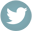 btn_twitter